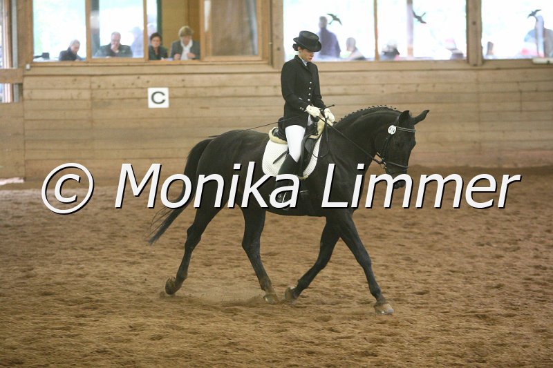 007L7931_Night Star_Dressur_A.JPG